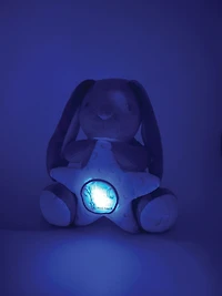 Guess How Much I Love You - Sucette musicale lumineuse