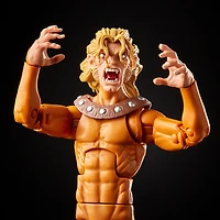 Hasbro Marvel Legends Series