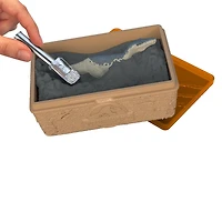 Jurassic World Minis Dinosaur Discovery Baryonyx