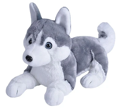 Pet Shop CK Cuddlekin Husky de Siberie
