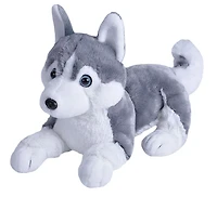 Pet Shop CK Cuddlekin Husky de Siberie