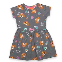 Paw Patrol Dress - Grey