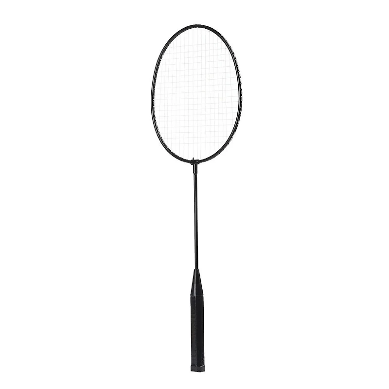 Ensemble de Badminton Danaplay