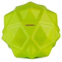 Balle Aerobie Sonic Bounce