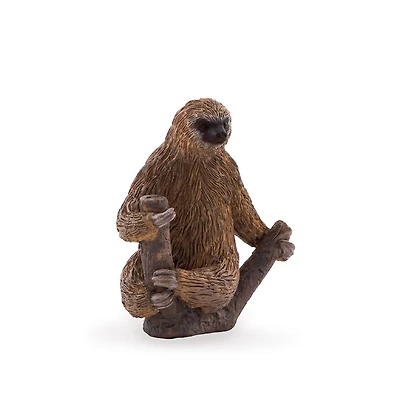 ALEX - Paresseux À Deux Doigts - Moyen