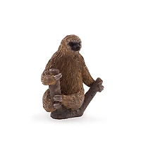 ALEX - Paresseux À Deux Doigts - Moyen