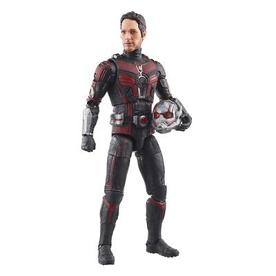 Hasbro Marvel Legends Series Ant-Man, Ant-Man et la Guêpe : Quantumania, figurine articulée de 15 cm