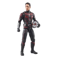 Hasbro Marvel Legends Series Ant-Man, Ant-Man et la Guêpe : Quantumania, figurine articulée de 15 cm
