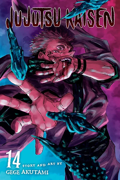 Jujutsu Kaisen, Vol. 14 - English Edition