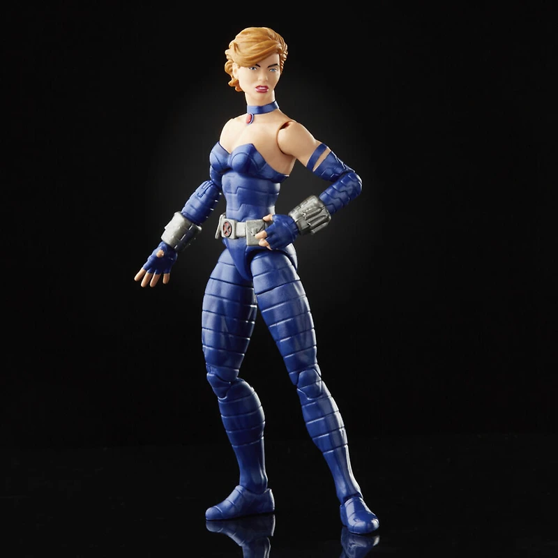 Marvel Legends Series