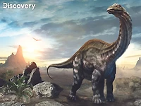 Discovery Dinosaur 100Pc Casse-Tête