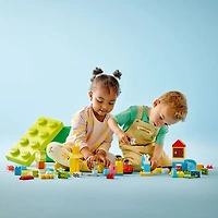 LEGO DUPLO Classic La boîte de briques deluxe 10914 (85 pièces)