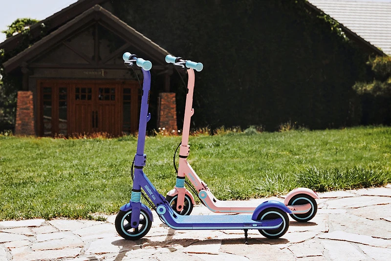 Trottinette électrique Segway eKickScooter E8