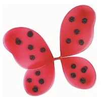Ailes de coccinelle