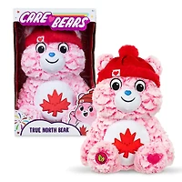 Care Bears Medium Plush - True North Bear 3.0