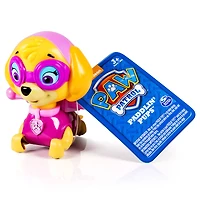 PAW Patrol - Bath Paddlin Pup - Skye