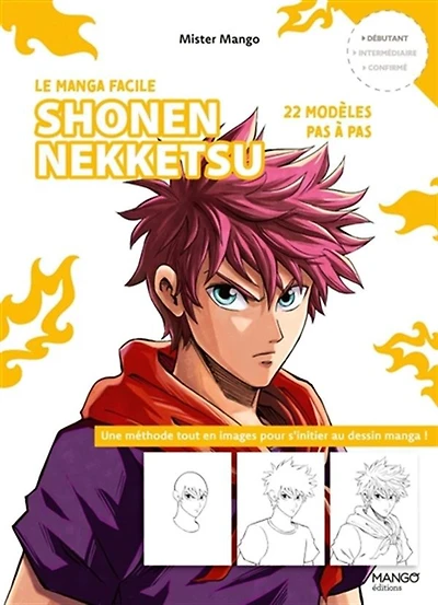 Shonen Nekketsu:  22 Modeles Pas A Pas - French Text