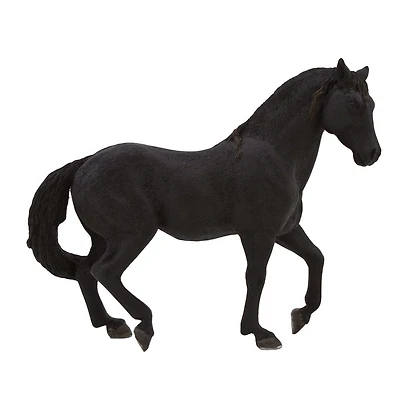 ALEX - Étalon Noir Andalou - Très Grand