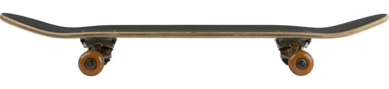 Tony Hawk Skateboard