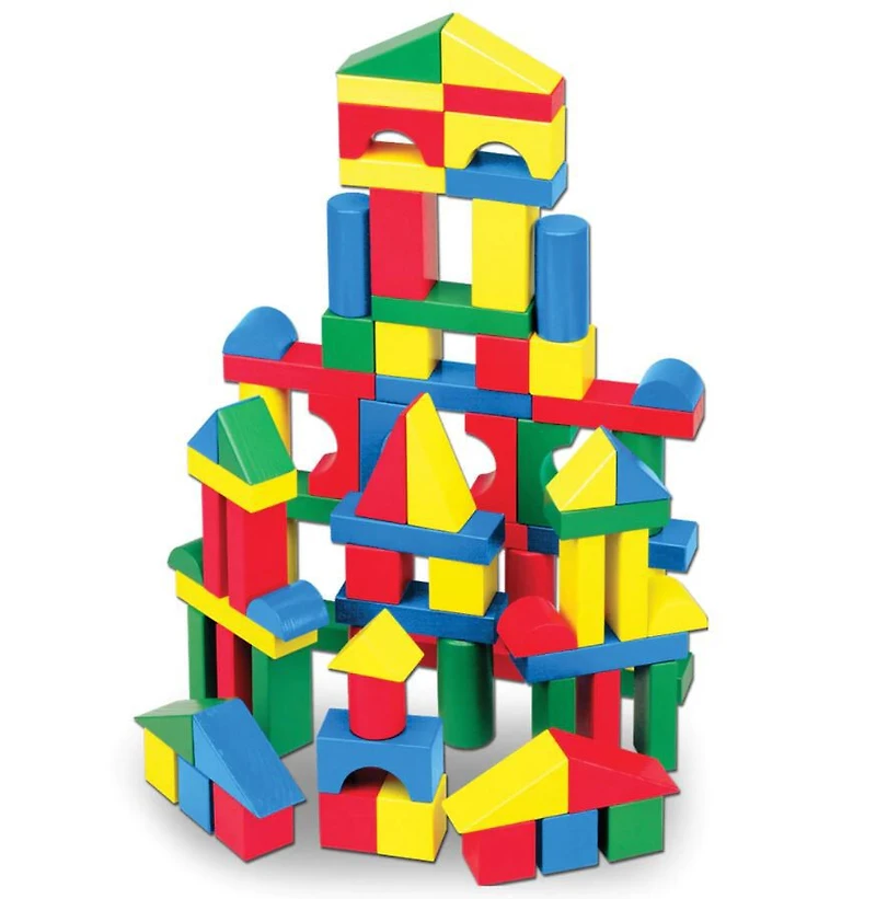 100 Piece Wood Block Set