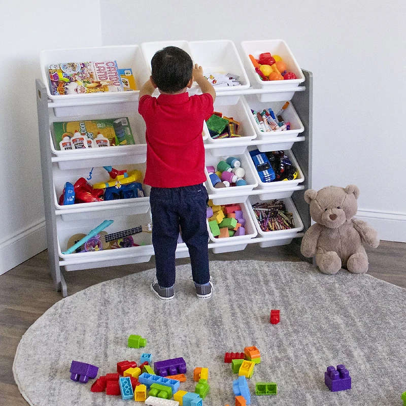 Toy Organizer with 16 Bins