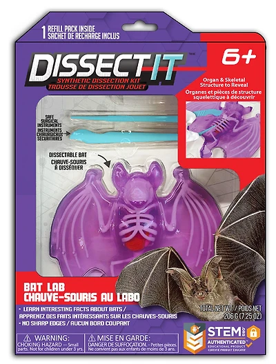 Chauve-souris au labo Dissect-It