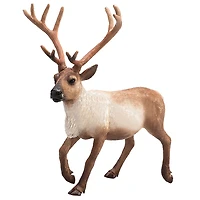 ALEX - Rennes - Grand