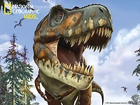 Casse-tête 3D National Geographic  Tyrannosaurus 100 pc