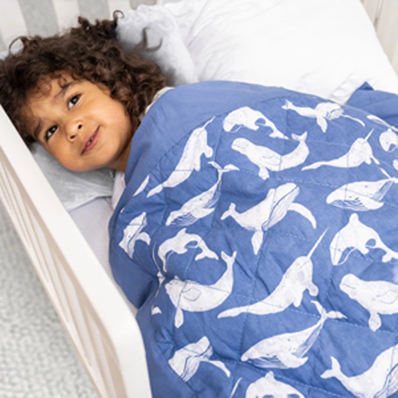 Aden + Anais Toddler-Bed Weighted Blanket