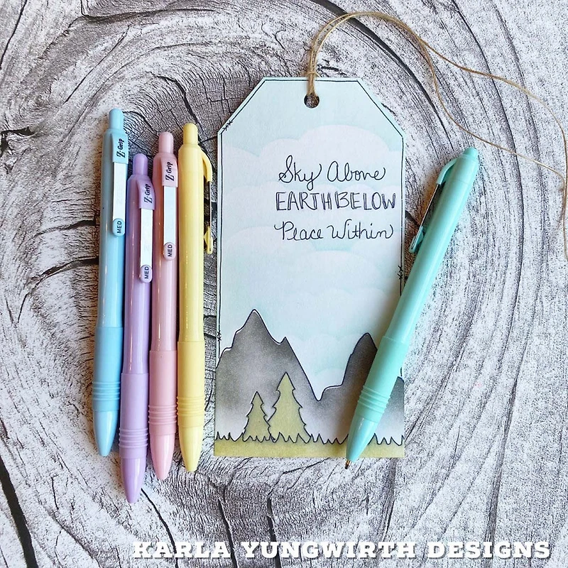 Z-Grip Pastel Barrel Retractable Ballpoint Pen Black Ink 5pk