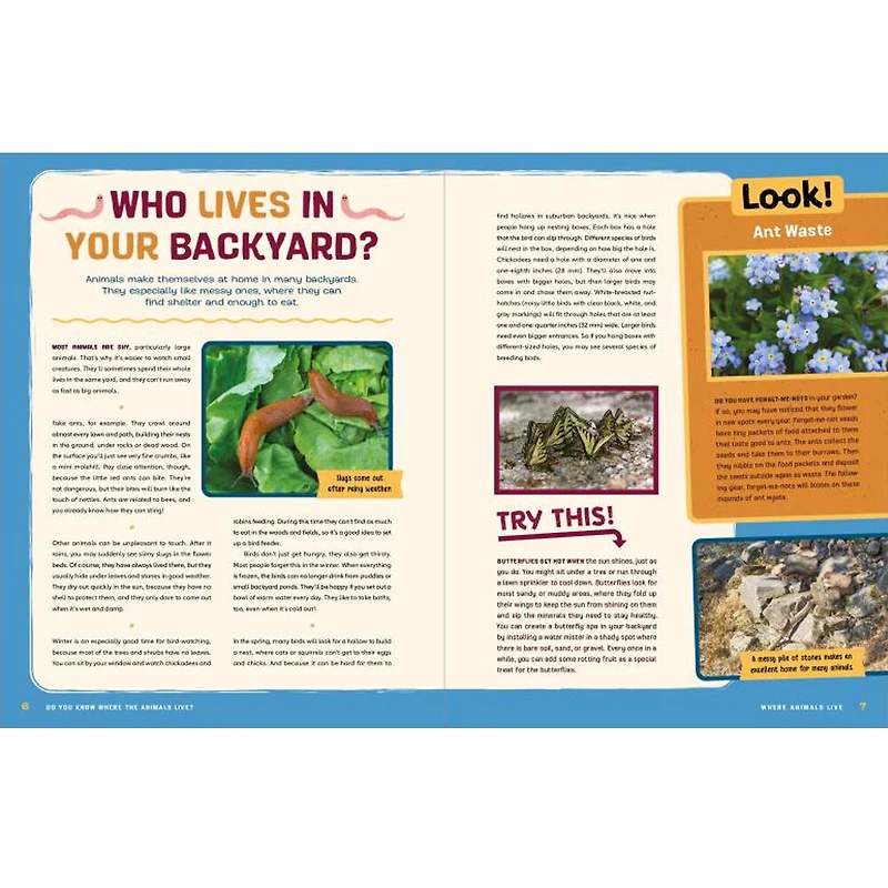 Do You Know Where The Animals Live? - Édition anglaise