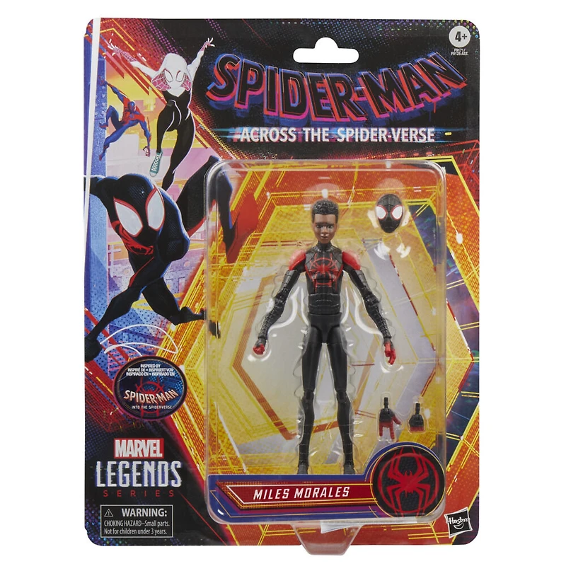 Marvel Legends Series Spider-Man: Into the Spider-Verse, figurine de collection Miles Morales de 15 cm
