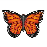 Cerf-volant papillon