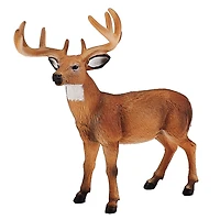 ALEX - White Tailed Deer Buck - Large