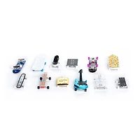 Braille Skateboarding Mini Skateboard Collectible 2 Pack  - English Edition