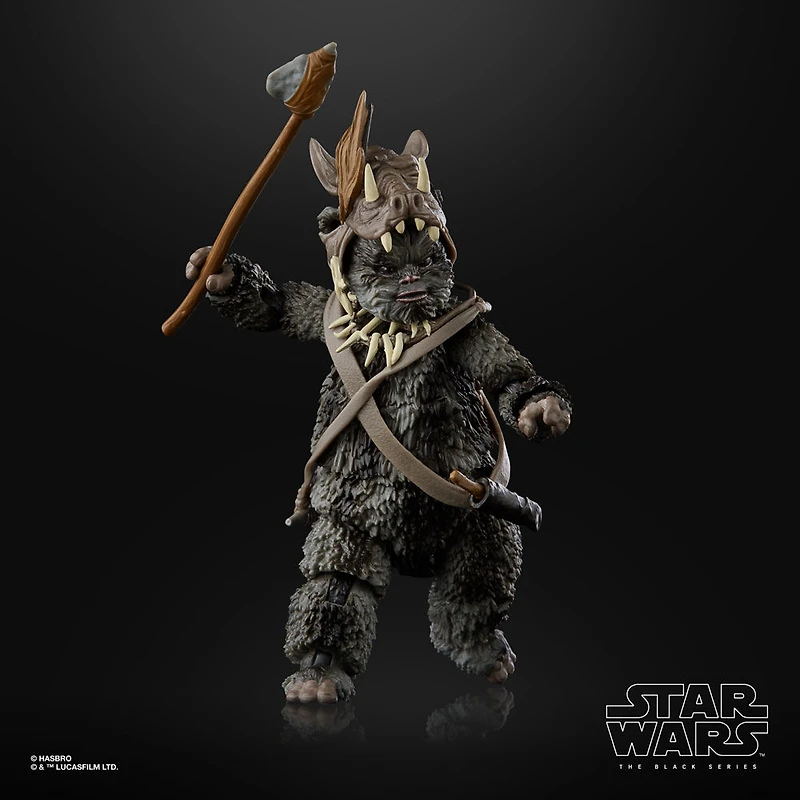 Star Wars The Black Series, Figurine De Collection Teebo (Ewok) De 15 Cm De Star Wars : Le Retour Du Jedi