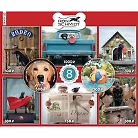 Ceaco casse-tête Ron Schmidt 8 en 1