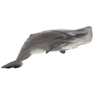 ALEX - Cachalot - Deluxe