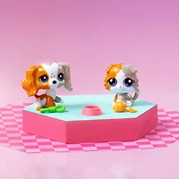 Littlest Pet Shop - Pet Pairs 2-Pack Sosies