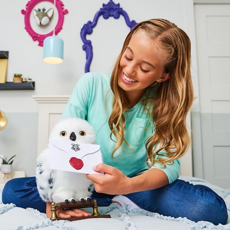 Wizarding World Harry Potter