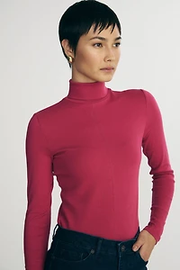 Stretch turtleneck