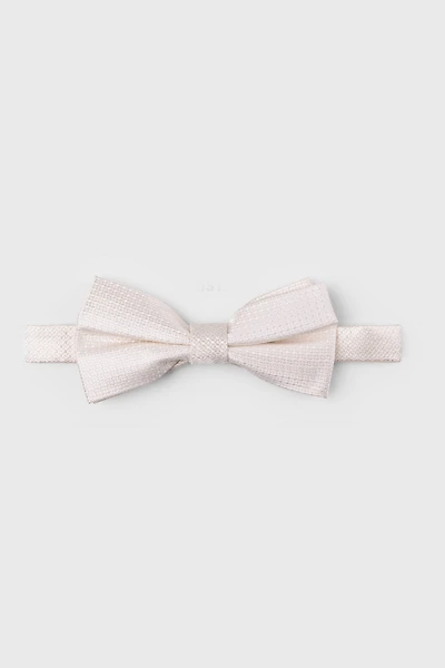 Bowtie