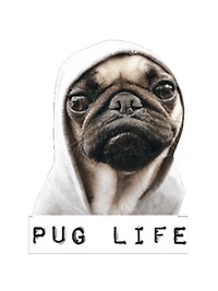 PUG LIFE | T-Shirt Time