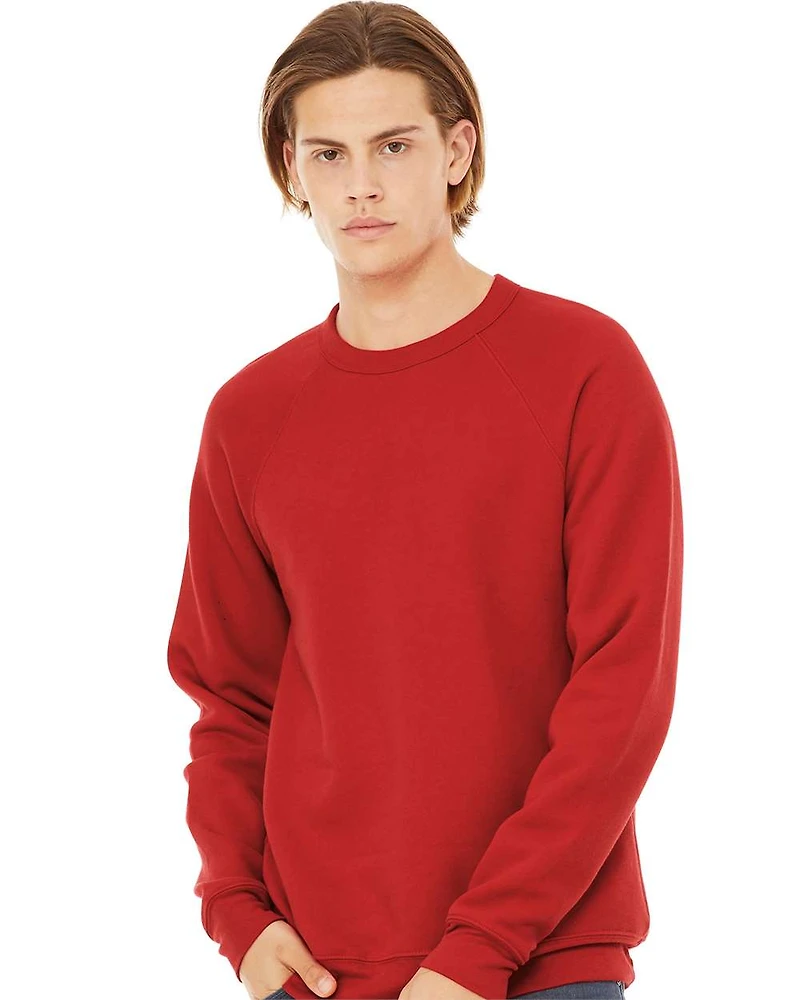 Unisex Sponge Fleece Raglan Crewneck Sweatshirt | T-Shirt Time