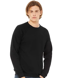 Unisex Sponge Fleece Raglan Crewneck Sweatshirt | T-Shirt Time
