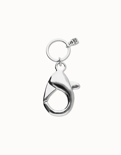 Keyring with large carabiner detail