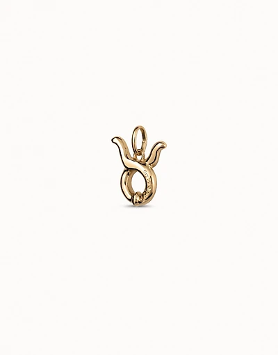 Taurus shaped charm