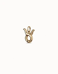 Taurus shaped charm
