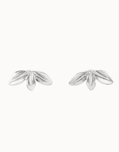 Leaf shaped stud earrings