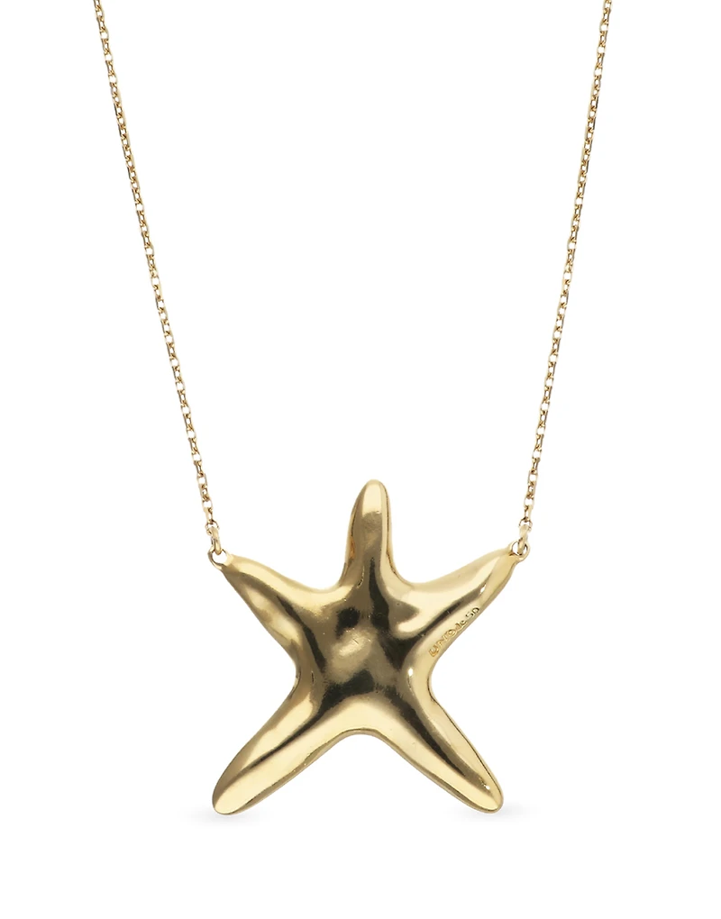 Long necklace with starfish